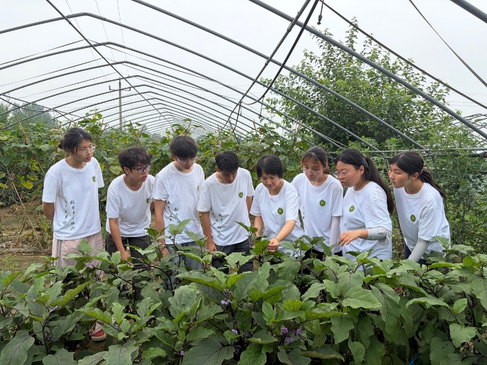 “科技帮扶”赋能田间地头 青春力量助力乡村振兴