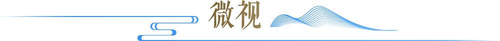 微视