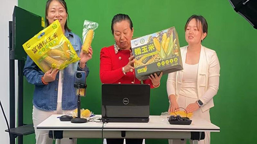 张家口市怀安县2026年“互联网营销师”职业技能竞赛圆满举办